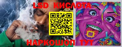 индика Шахты