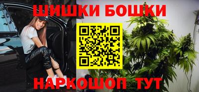 индика Шахты